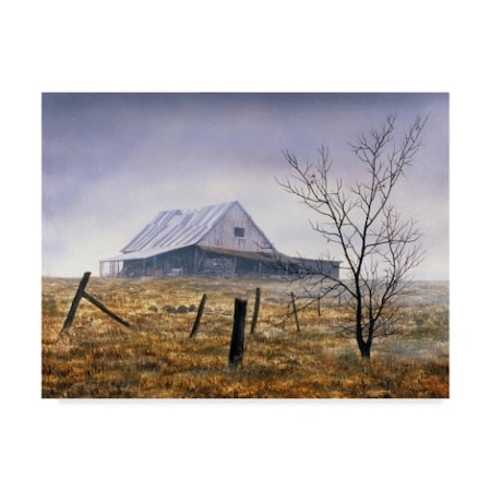 John Morrow 'Ground Fog' Canvas Art,18x24